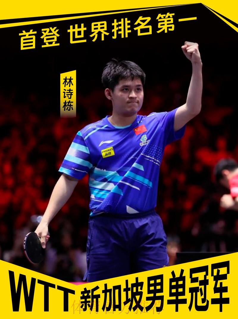 林诗栋无缘男单决赛